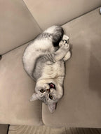 Gepersonaliseerde magneetfoto’s – 24 stuks