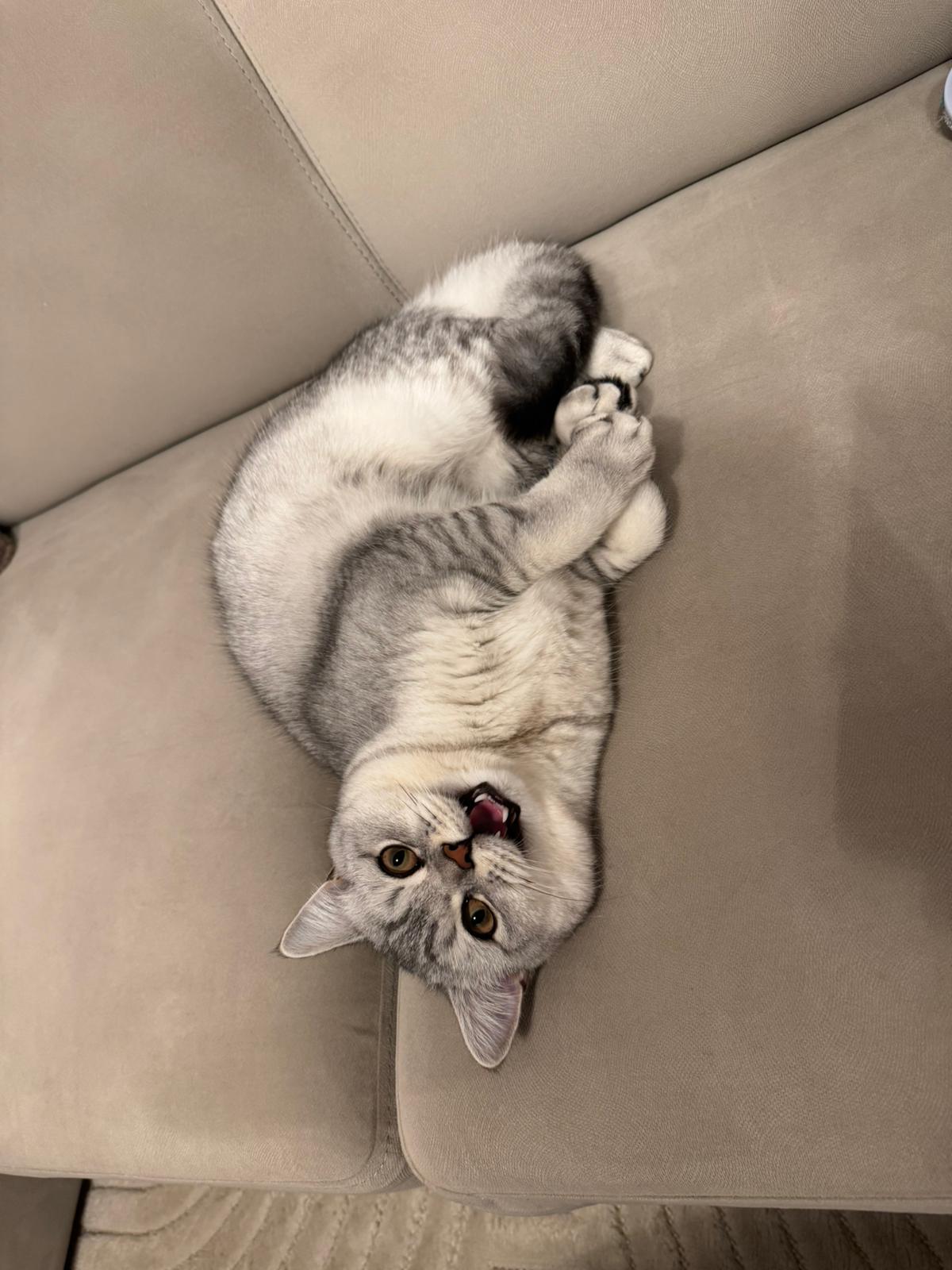 Gepersonaliseerde magneetfoto’s – 12 stuks