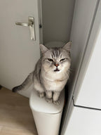 Gepersonaliseerde magneetfoto’s – 24 stuks