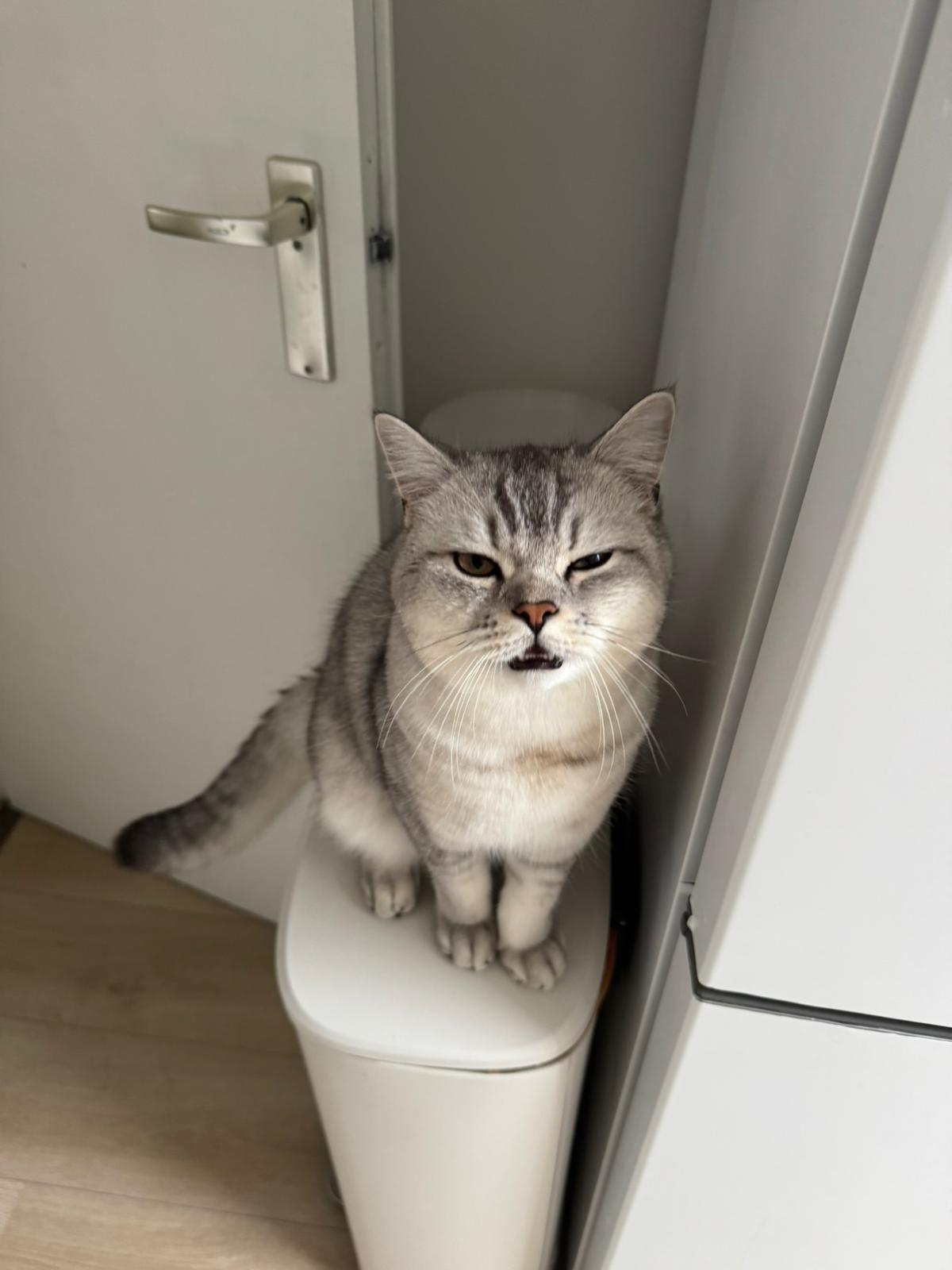 Gepersonaliseerde magneetfoto’s – 12 stuks